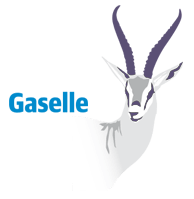 gaselle-2018